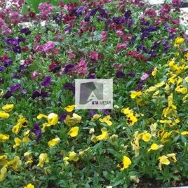 No: 014 Alt Tasarım