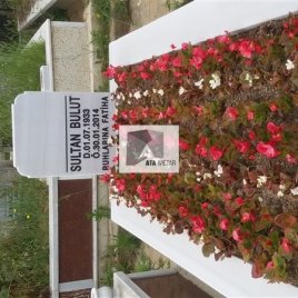 No: 029 Alt Tasarım