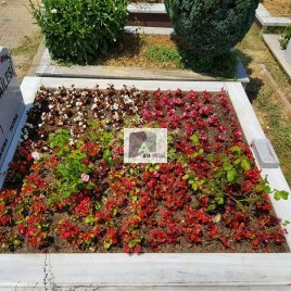 No: 039 Alt Tasarım