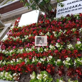 No: 045 Alt Tasarım