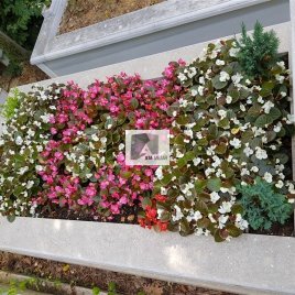 No: 053 Alt Tasarım