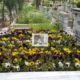 No: 0182 Alt Tasarım