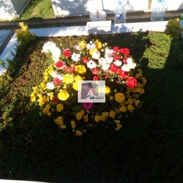 No: 0226 Alt Tasarım