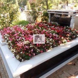 No: 0250 Alt Tasarım