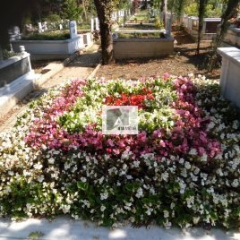 No: 0253 Alt Tasarım