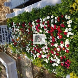 No: 0278 Alt Tasarım