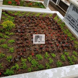 No: 4015 Üst Tasarım