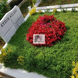 No: 4049 Üst Tasarım