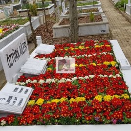 No: 4063 Üst Tasarım
