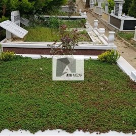 No: 5047 Yeşilik Ve Mevsimlik Çiçek Tasarım