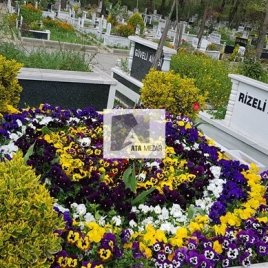 No: 4065 Üst T asarım