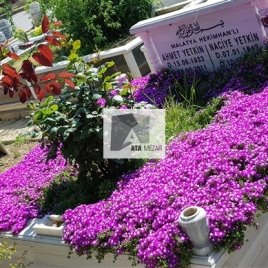 No: 5054 Yeşilik Ve Mevsimlik Çiçek Tasarım