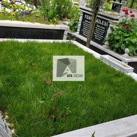 No: 5067 Yeşilik Ve Mevsimlik Çiçek Tasarım