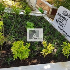 No: 5083 Yeşilik Ve Mevsimlik Çiçek Tasarım