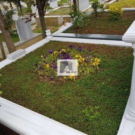 No: 5118 Yeşilik Ve Mevsimlik Çiçek Tasarım