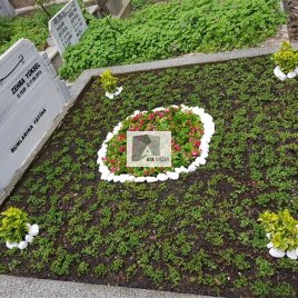No: 5122 Yeşilik Ve Mevsimlik Çiçek Tasarım