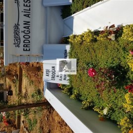 No: 5154 Yeşilik Ve Mevsimlik Çiçek Tasarım