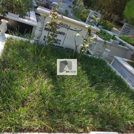 No: 5163 Yeşilik Ve Mevsimlik Çiçek Tasarım