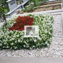 No: 3073 Taşlı Tasarım