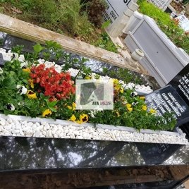 No: 3082 Taşlı Tasarım