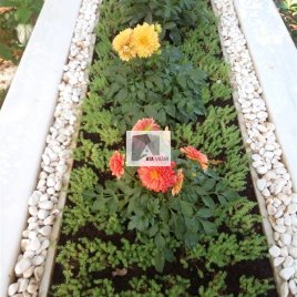 No: 3113 Taşlı Tasarım