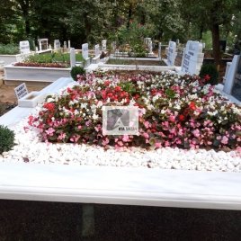 No: 3114 Taşlı Tasarım