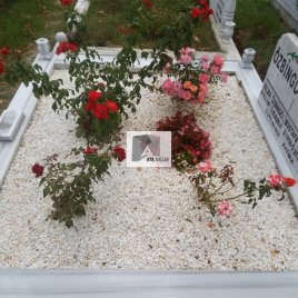 No: 3115 Taşlı Tasarım