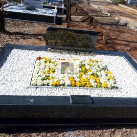 No: 3130 Taşlı Tasarım