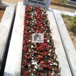 No: 3139 Taşlı Tasarım