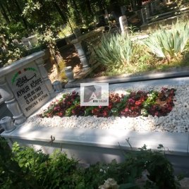 No: 3142 Taşlı Tasarım