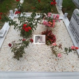 No: 3145 Taşlı Tasarım