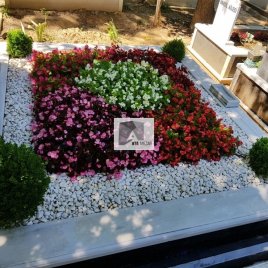 No: 3147 Taşlı Tasarım