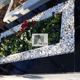 No: 3151 Taşlı Tasarım