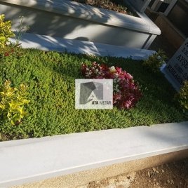 No: 5279 Yeşilik Ve Mevsimlik Çiçek Tasarım