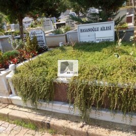 No: 5200 Yeşilik Ve Mevsimlik Çiçek Tasarım