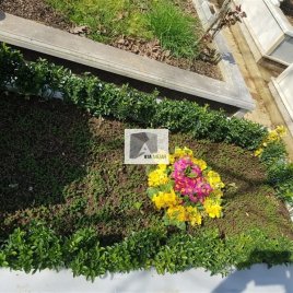 No: 5189 Yeşilik Ve Mevsimlik Çiçek Tasarım